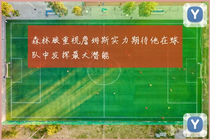 森林狼重视詹姆斯实力期待他在球队中发挥最大潜能