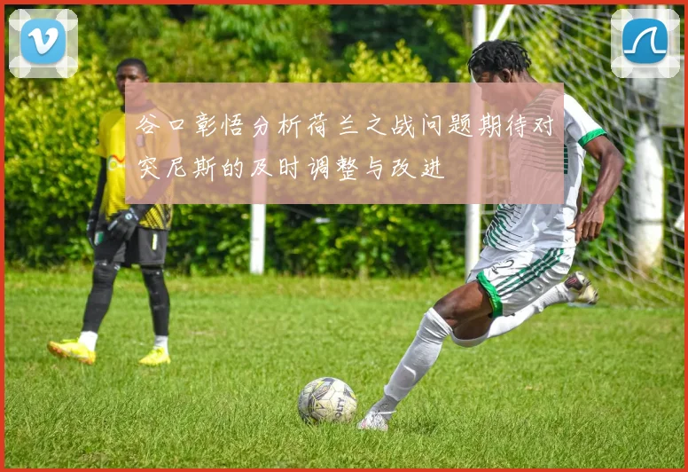谷口彰悟分析荷兰之战问题期待对突尼斯的及时调整与改进