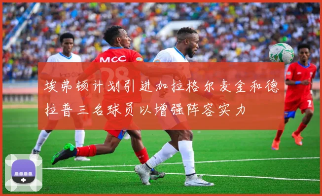 埃弗顿计划引进加拉格尔麦金和德拉普三名球员以增强阵容实力