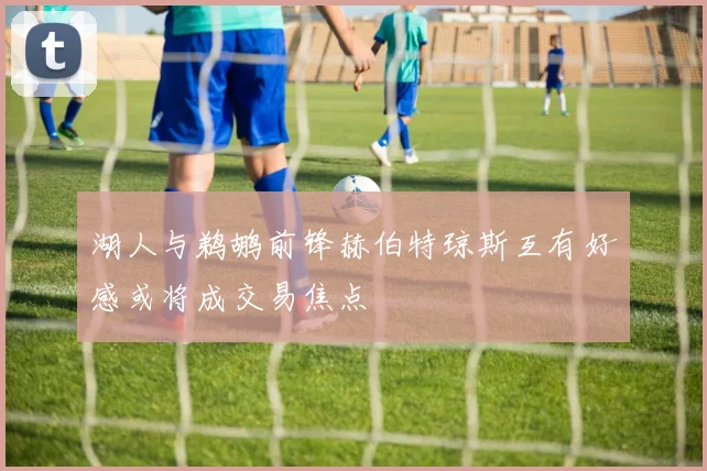 湖人与鹈鹕前锋赫伯特琼斯互有好感或将成交易焦点